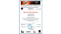 2013-2014 Лаврик Анастасия 10л (Неделя познания мозга) 